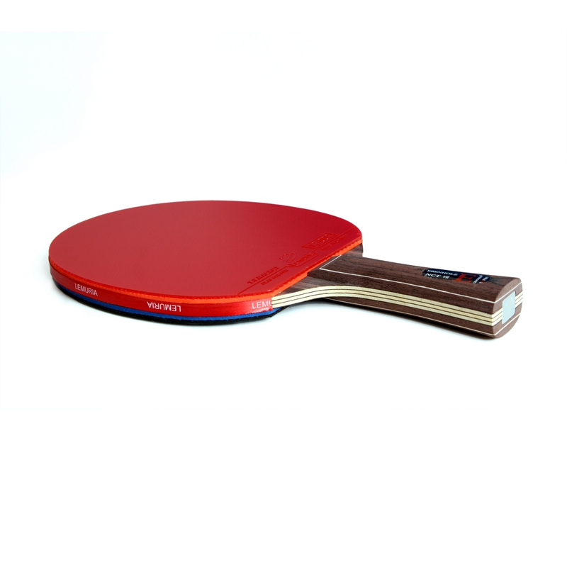 Lemuria EBENHOLZ-Table Tennis  - Table Tennis Forehand Rubber review and price
