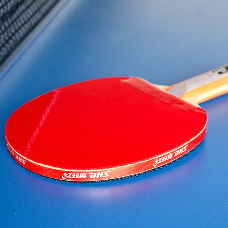 DHS Self-adhesive Table Tennis - Table Tennis Defense review and price
