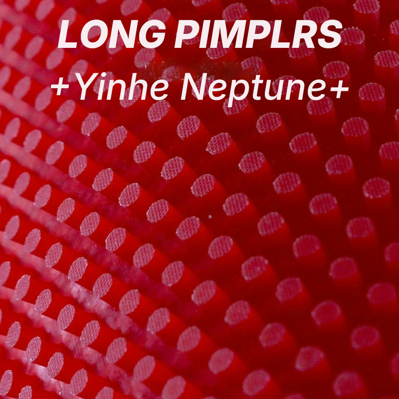 YINHE NEPTUNE Long Pimples Tab - Table Tennis Defense review and price